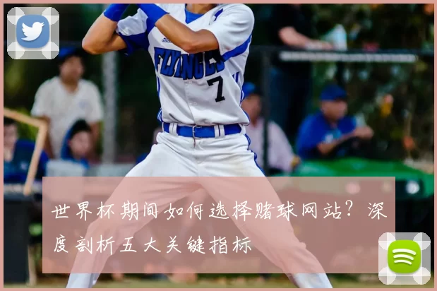 世界杯期间如何选择赌球网站?深度剖析五大关键指标