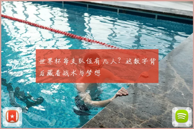 世界杯每支队伍有几人？这数字背后藏着战术与梦想