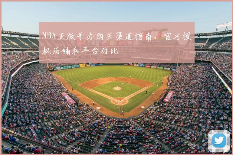 NBA正版手办购买渠道指南,官方授权店铺和平台对比