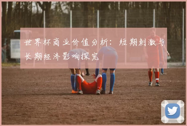 世界杯商业价值分析:短期刺激与长期经济影响探究