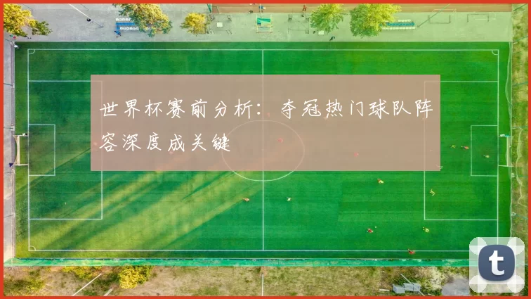 世界杯赛前分析:夺冠热门球队阵容深度成关键