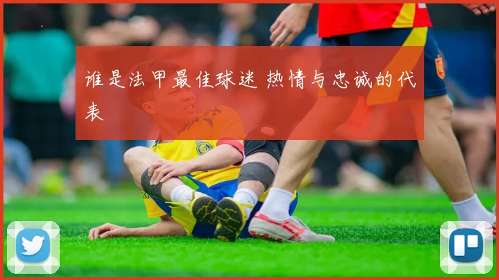 谁是法甲最佳球迷 热情与忠诚的代表