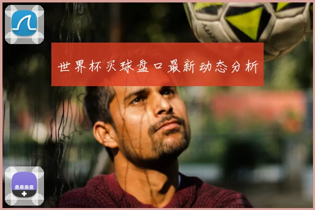 世界杯买球盘口最新动态分析