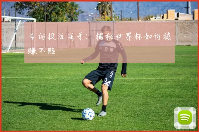 专访投注高手:揭秘世界杯如何稳赚不赔