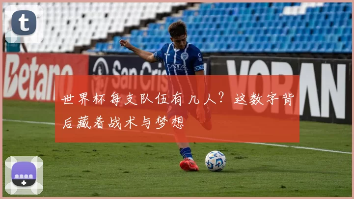 世界杯每支队伍有几人?这数字背后藏着战术与梦想