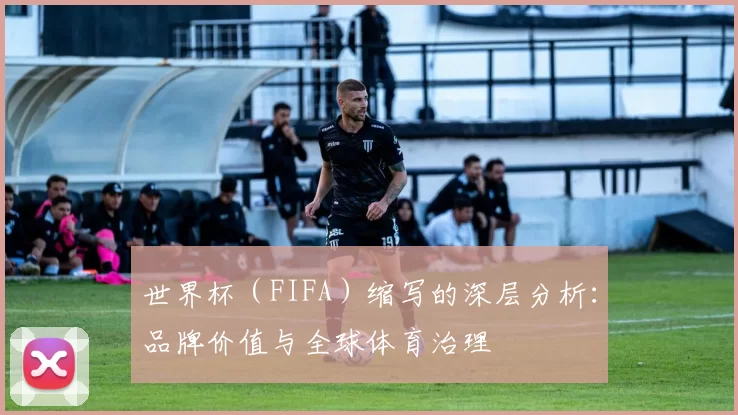 世界杯(FIFA)缩写的深层分析:品牌价值与全球体育治理