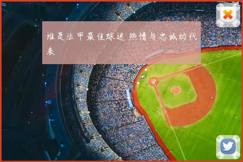 谁是法甲最佳球迷 热情与忠诚的代表