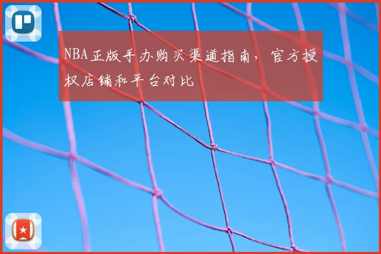 NBA正版手办购买渠道指南,官方授权店铺和平台对比